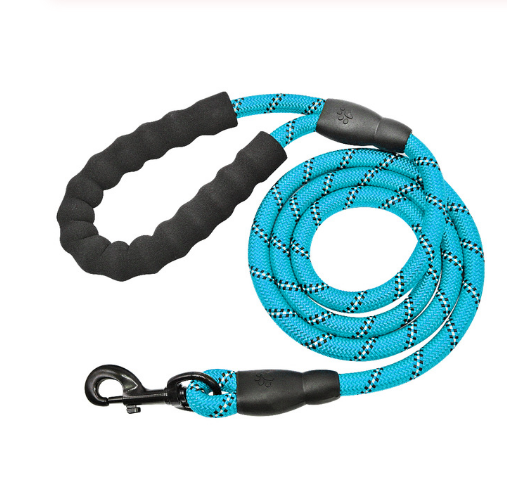 Dog Leash